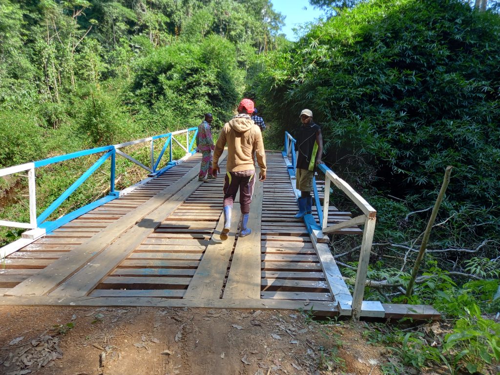 PIREDD Maniema : Réhabilitation de deux ponts par les communautés locales Bakuko à travers l’exploitation des bois d’œuvre dans la concession de Bisemulu (Kaïlo)