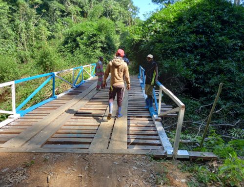 PIREDD Maniema : Réhabilitation de deux ponts par les communautés locales Bakuko à travers l’exploitation des bois d’œuvre dans la concession de Bisemulu (Kaïlo)
