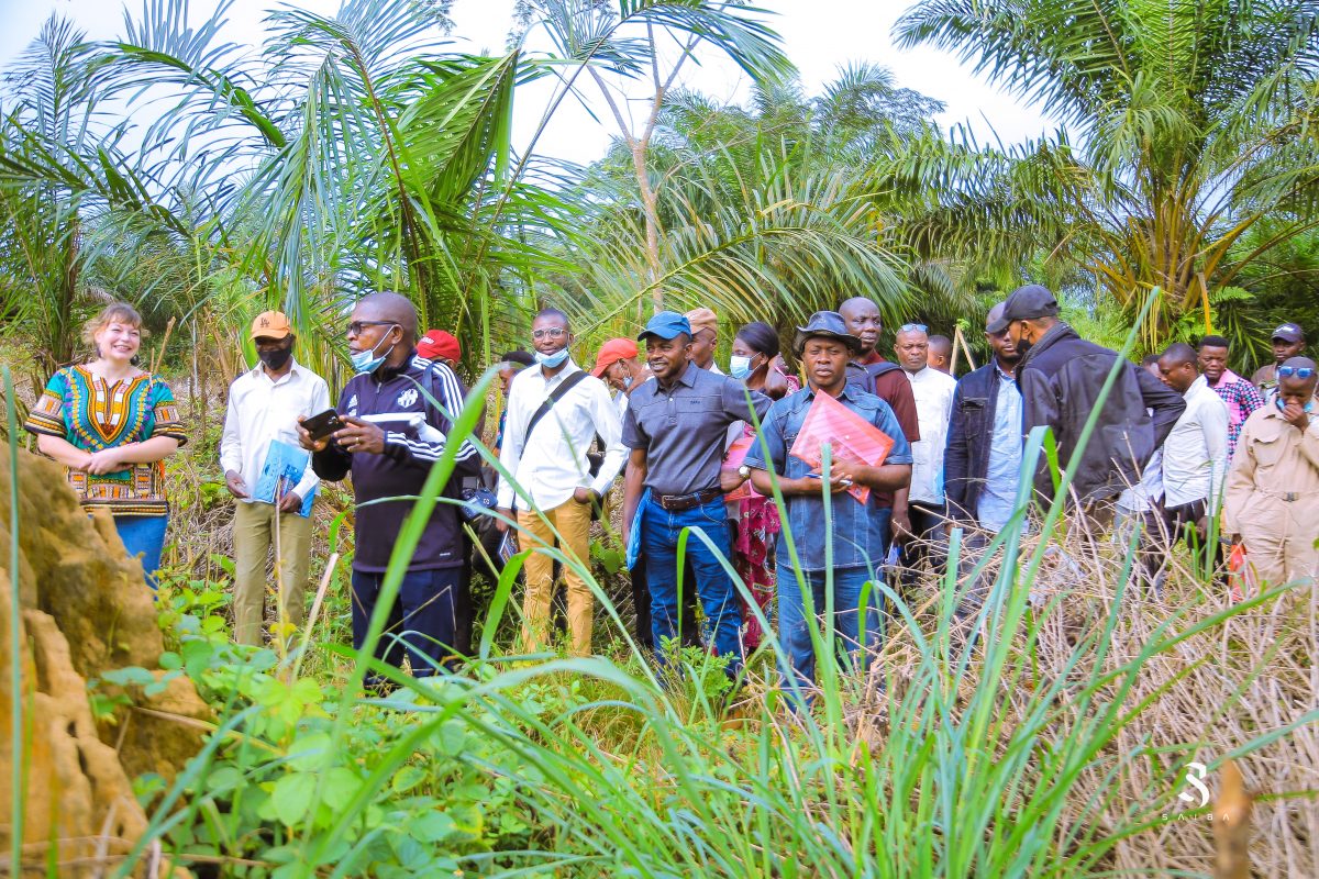 Lancement du processus de restauration des paysages forestiers au ...