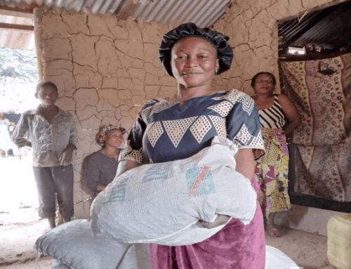 SUCCESS STORY :  « Il est possible de transformer sa vie et celle de sa communauté en appliquant les bonnes pratiques agricoles » Madame BELENDA Clémence, une habitante du village Yaosenge dans le secteur de Yalikandja-Yanonge (Province de la Tshopo)