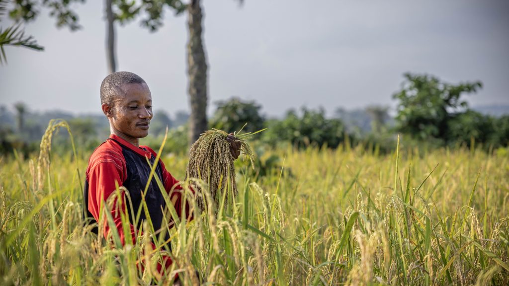 Agriculture Durable au Maniema : Comment la rizipisciculture transforme des vies