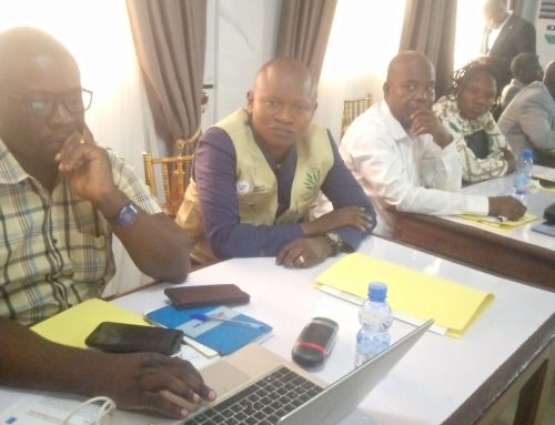 Atelier national de validation des concepts clés pour la gestion durable des forêts en RDC