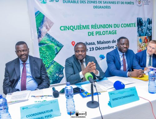 5e Comité de Pilotage du PSFD : entre bilan, défis et perspectives