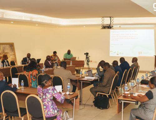 2ᵉ Réunion du Comité de Pilotage du programme Le projet de renforcement de la gouvernance environnementale et sociale dans le secteur extractif