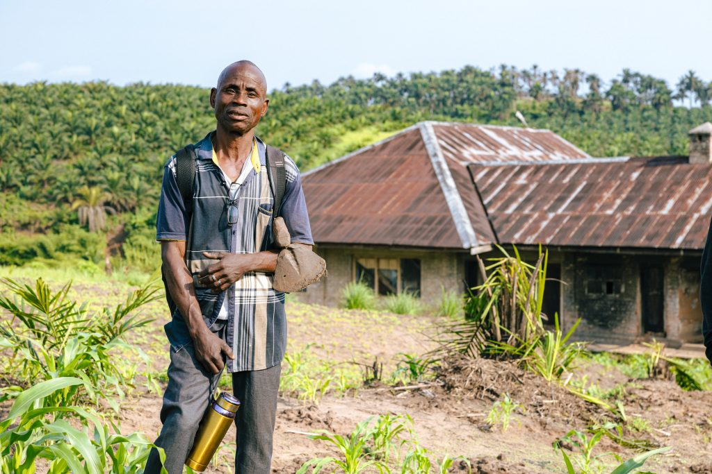 Kwilu : palmier à huile et alliances productives – un modèle agricole structuré à consolider