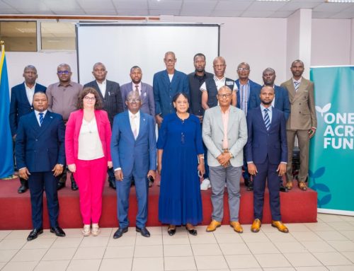 Gouvernance du PAPS : le Comité de pilotage examine les progrès du programme et appelle à des ajustements dans sa mise en œuvre