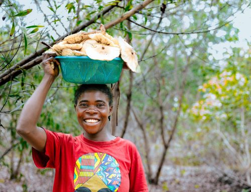Journée mondiale du paysan : entre enjeux structurels et réponses concrètes du FONAREDD en RDC