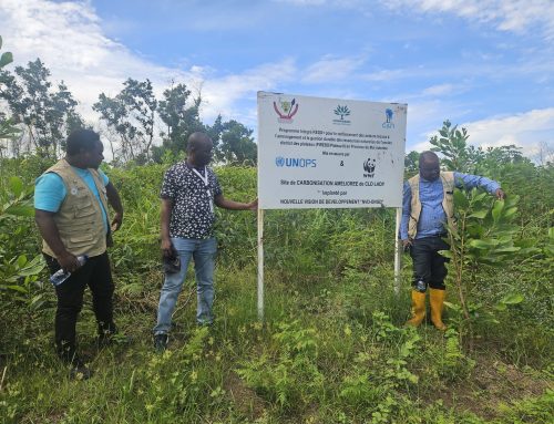 PIREDD Plateau : une mission stratégique au cœur des territoires pour accélérer l’impact REDD+