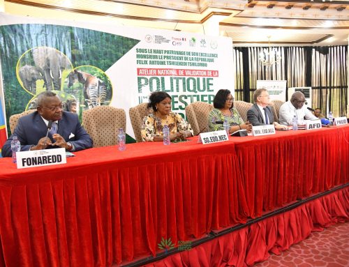 Le FONAREDD accompagne l’adoption de la première politique forestière nationale de la RDC.