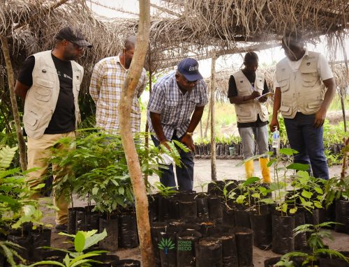 Mission de suivi du PSFD dans le Kwilu : le FONAREDD constate des avancées significatives et prépare la deuxième phase du programme